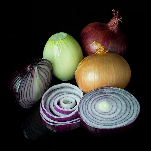 Brown onion plant