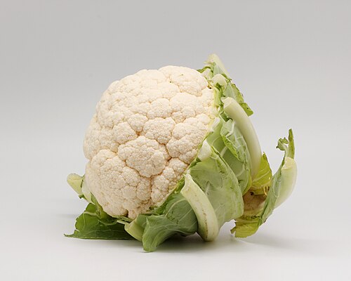 Cauliflower plant