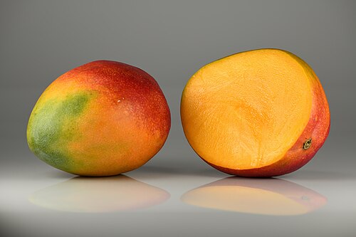 Mango plant