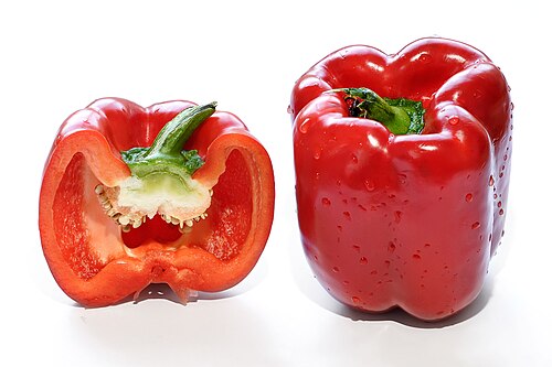 Capsicum plant