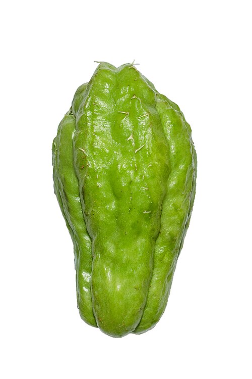 Choko plant